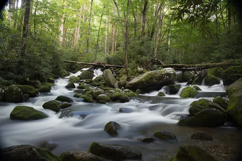 photography slideshow 6