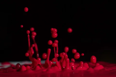photography slideshow 9
