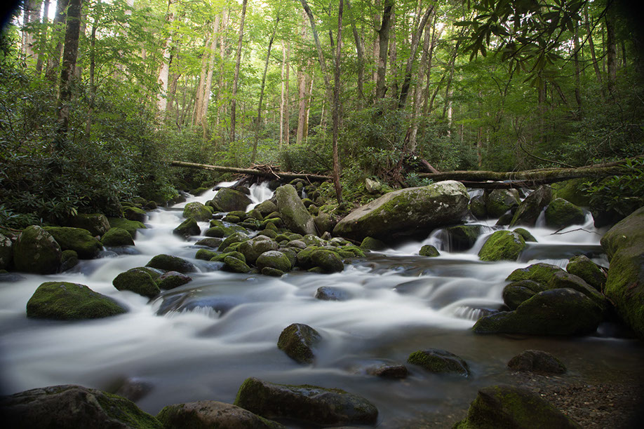photography slideshow 6